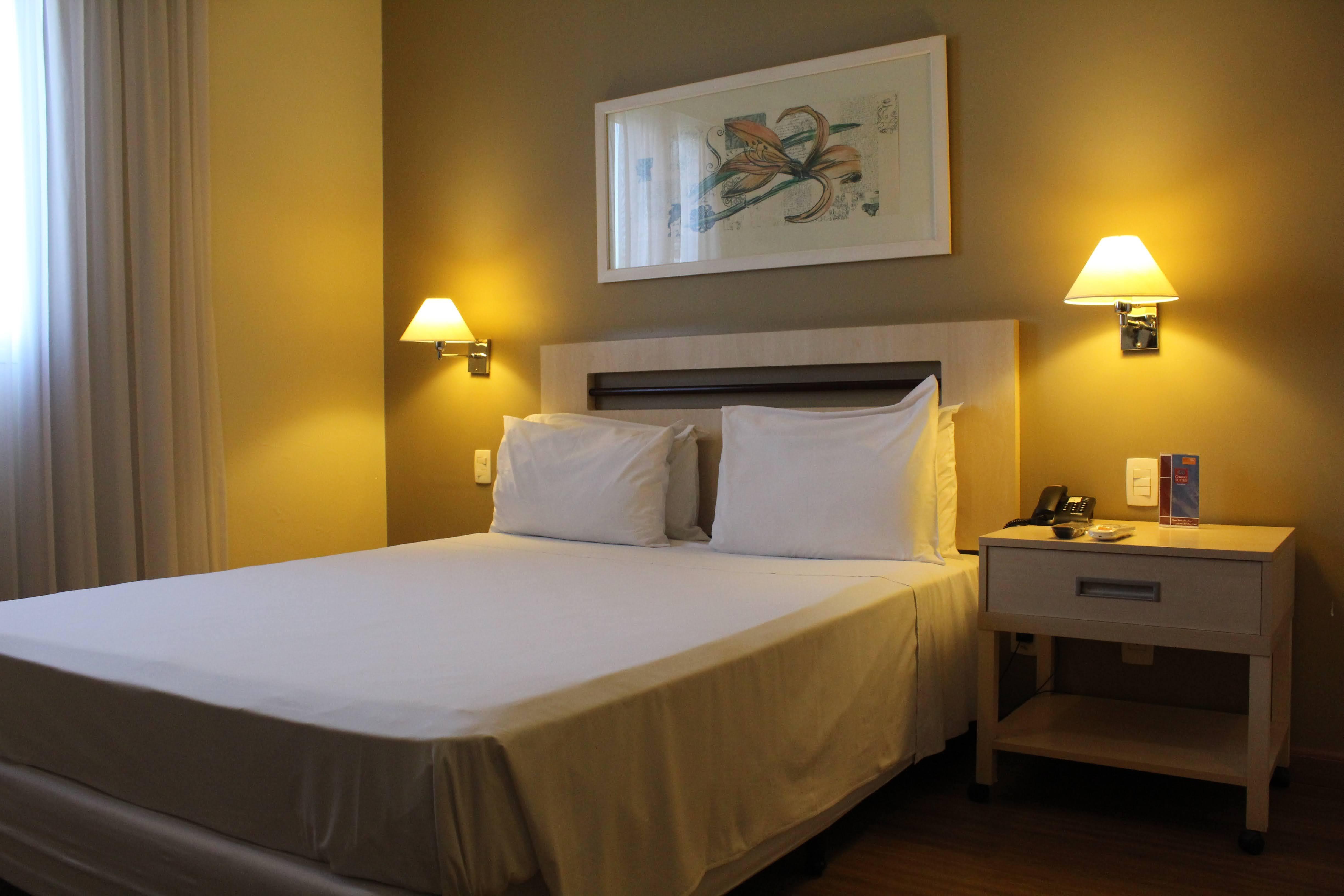 Hotel Ibis Styles Alphaville